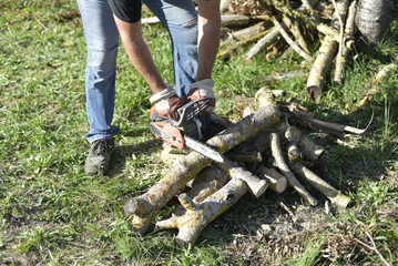 Homme préparant du bois de chauffage dans son jardin à l’automne. Man preparing firewood in his...
