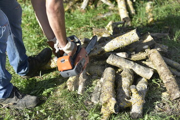 Homme préparant du bois de chauffage dans son jardin à l’automne. Man preparing firewood in his garden during autumn