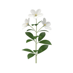 Fototapeta premium Delicate white floral arrangement radiating elegance against a serene transparent setting