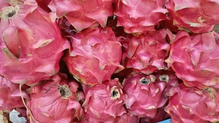 Fresh dragon fruit, a daily source of fiber and antioxidants