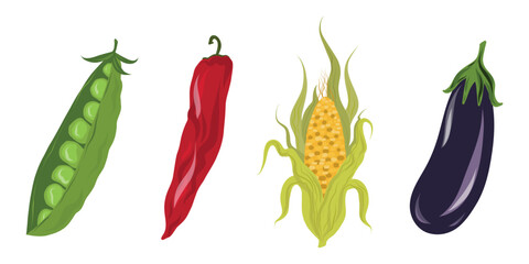 Mixed vegetable line-up. Pea, pepper, corn, eggplant set, Farm produce collection