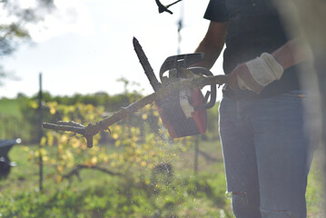 Homme coupant du bois à la tronçonneuse dans le jardin, travail manuel en automne / Man cutting firewood with a chainsaw outdoors in autumn