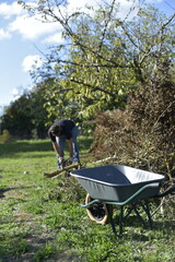 Homme coupant du bois à la tronçonneuse dans le jardin, travail manuel en automne / Man cutting firewood with a chainsaw outdoors in autumn