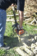 Homme coupant du bois à la tronçonneuse dans le jardin, travail manuel en automne / Man cutting firewood with a chainsaw outdoors in autumn