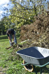 Homme coupant du bois à la tronçonneuse dans le jardin, travail manuel en automne / Man cutting firewood with a chainsaw outdoors in autumn