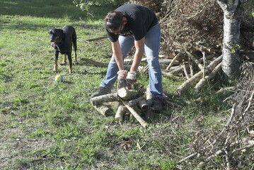Homme coupant du bois à la tronçonneuse dans le jardin, travail manuel en automne / Man cutting firewood with a chainsaw outdoors in autumn