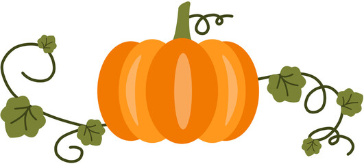 Pumpkin with leaves, Autumnal Pumpkin Concept Thanksgiving Day