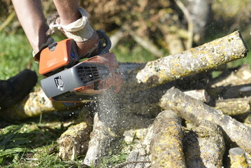 Gros plan sur une tronçonneuse en action coupant une bûche couverte de mousse / Close-up of chainsaw cutting a mossy log in autumn