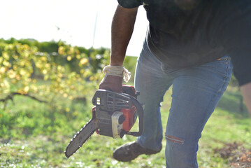Gros plan sur une tronçonneuse en action coupant une bûche couverte de mousse / Close-up of chainsaw cutting a mossy log in autumn