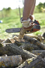Gros plan sur une tronçonneuse en action coupant une bûche couverte de mousse / Close-up of chainsaw cutting a mossy log in autumn