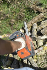 Gros plan sur une tronçonneuse en action coupant une bûche couverte de mousse / Close-up of chainsaw cutting a mossy log in autumn