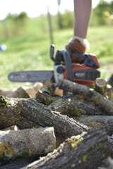 Gros plan sur une tronçonneuse en action coupant une bûche couverte de mousse / Close-up of...