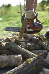 Gros plan sur une tronçonneuse en action coupant une bûche couverte de mousse / Close-up of...
