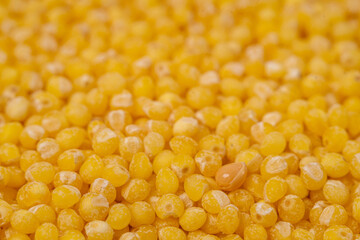 Millet as a texture, background, pattern. Macro photo