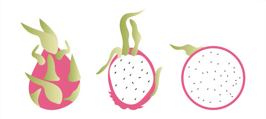 Dragon fruit vector illustration set — tropical pitaya exotic fruit design for packaging, labels, branding, posters, and healthy food projects