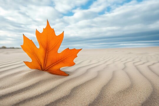Vivid orange maple leaf settling on wind sculpted sand ripples under a cloudy sky, representing autumn, change, and nature