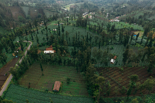 Aerial view of the lush green landscapes and scattered houses amidst the dense forests of Mt. Bromo, East Java, Indonesia.