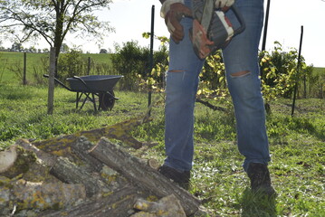 Tas de bûches coupées empilées sur l’herbe, préparation du bois pour l’hiver / Stack of freshly cut firewood piled on the grass for winter
