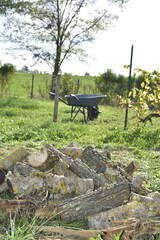 Tas de bûches coupées empilées sur l’herbe, préparation du bois pour l’hiver / Stack of freshly cut firewood piled on the grass for winter