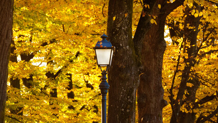 Autumn and foliage in the park. Vintage street lamps among autumnal leaves