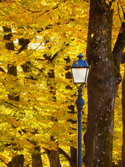 Autumn and foliage in the park. Vintage street lamps among autumnal leaves