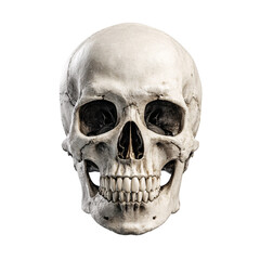 Obraz premium Human skull on black background isolated on transparent background