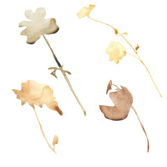 Flower set on a white background. Hand-drawn illustration. Perfect for autumn.