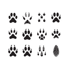 Twelve black animal paw prints and abstract graphic elements arranged in a grid on a white background
