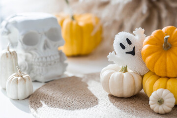 Autumn decor for the holiday. Beautiful decorative pumpkins and a skull. Space for text. Banner, background, flyer for celebrating Halloween or the Day of the Dead.