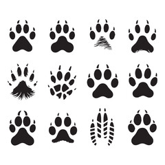 Fototapeta premium Twelve black silhouette icons of animal paw prints and a shoe print on a white background animal tracks