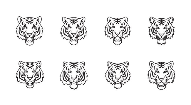 Set of eight detailed tiger face line art sketches for graphic design and artistic projects vector