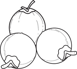 Three Coconuts Outline Drawing. Tropical Fruit Line Art. Black and White Illustration.