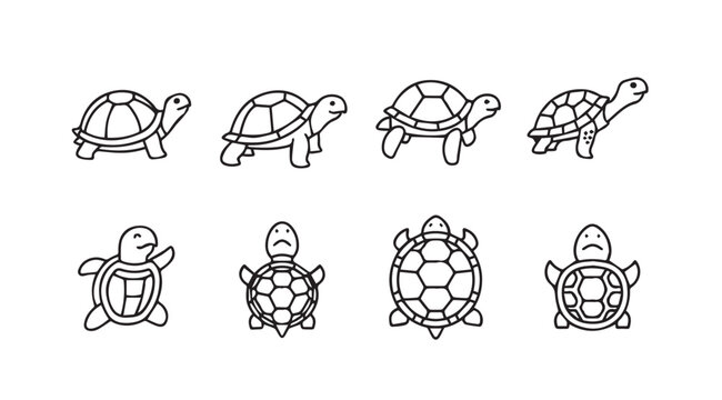 Charming collection of hand-drawn turtle icons showing various poses and perspectives vector