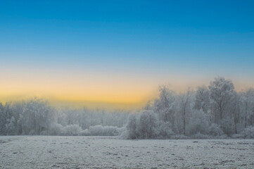 Winter Pullinger Moos, Raureif