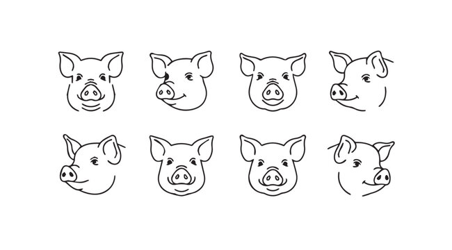 Collection of eight hand drawn pig faces showing different expressions and styles vector