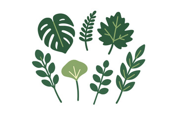 Stylized collection of tropical and botanical green leaves in flat design