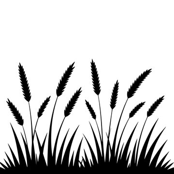 Vector art of black silhouette of grass