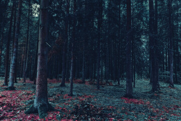 A creepy surreal forest as a background for horror stories