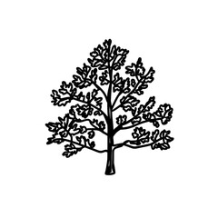 Obraz premium The cad tree line drawing features a minimalist style, showcasing a side view of various tree elements in outline form, suitable for architecture and landscape design, with a modern white fill-in