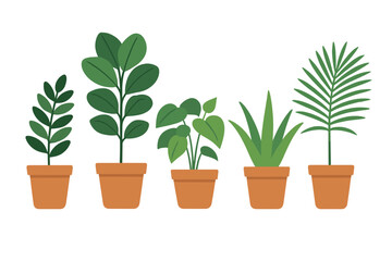 Five different potted green houseplants arranged in a row against a clean white background