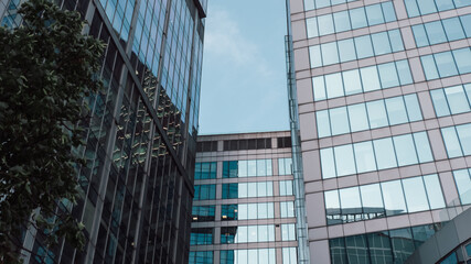 Obraz premium mirrored windows of the facade of an office building