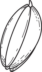 Star Fruit Outline Illustration. Simple Carambola Line Art Vector. Tropical Fruit Drawing for Healthy Food Concepts and Design.