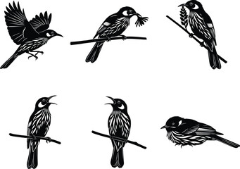 Bird Silhouette Vector Set Featuring Perched, Flying, Singing, and Feeding Tropical Birds for Wildlife, Nature, Botanical, and Art Design Use