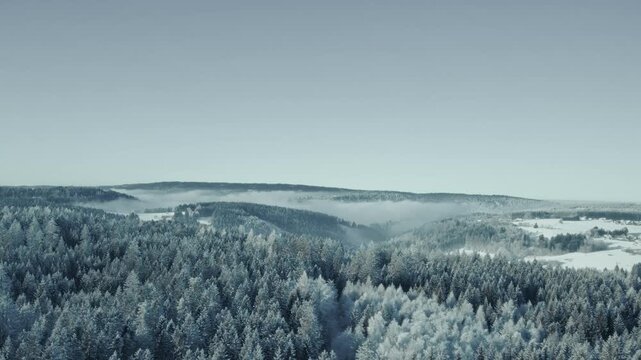 Panorama &uuml;ber eisigen verschneiten Wald