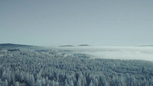 Panorama &uuml;ber eisigen verschneiten Wald