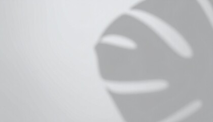 Soft blurred monstera light texture