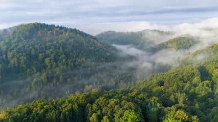 An aerial view of an autumnal or summer landscape with forests and meadows in the early morning. The mist is slowly lifting and the first rays of sunshine are breaking through.  A background concept © Michal