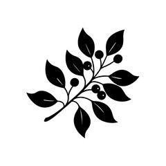 Silhouette branch with leaves and berries on transparent background