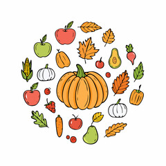 Autumn fruit and vegetable element set, vector illustration