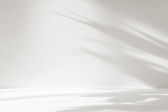 Abstract white color studio background for product presentation. Empty room with shadows of window and plant leaves . 3d grey room with copy space. Summer concept. Blurred backdrop.